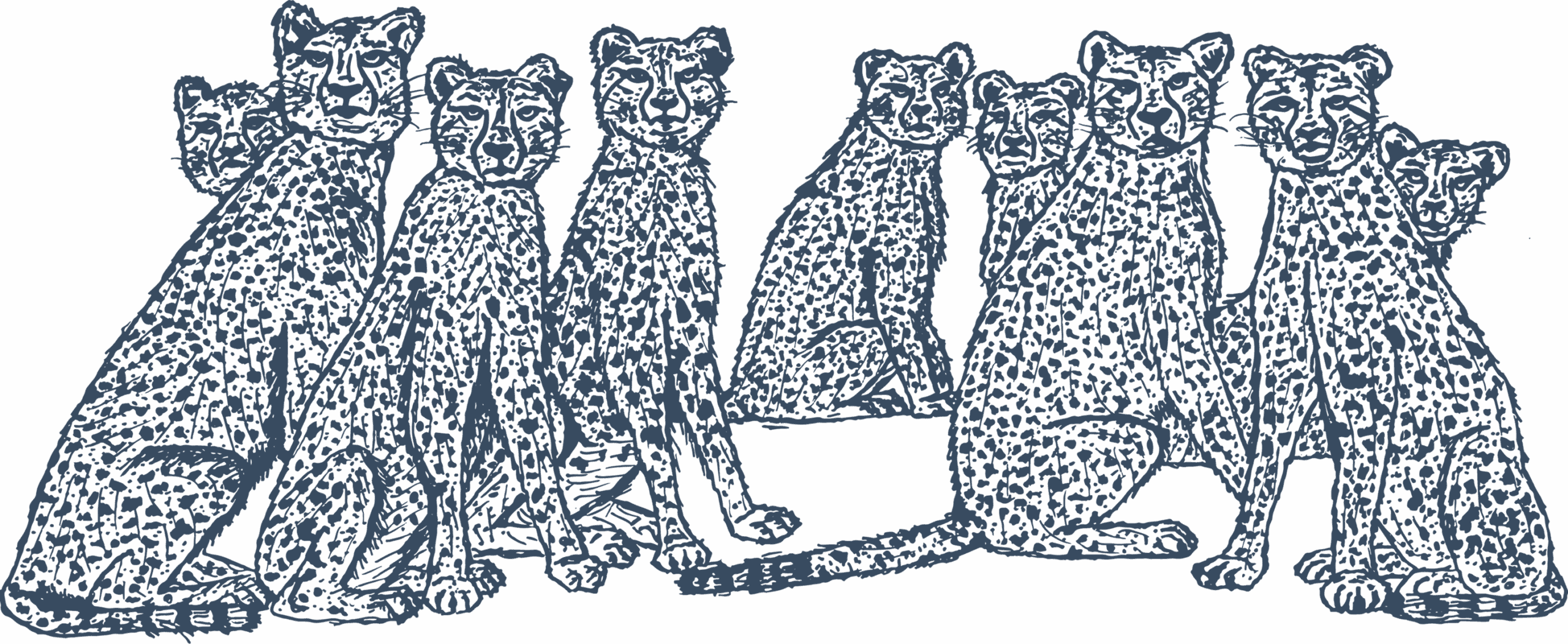 Cheetah_Family blue