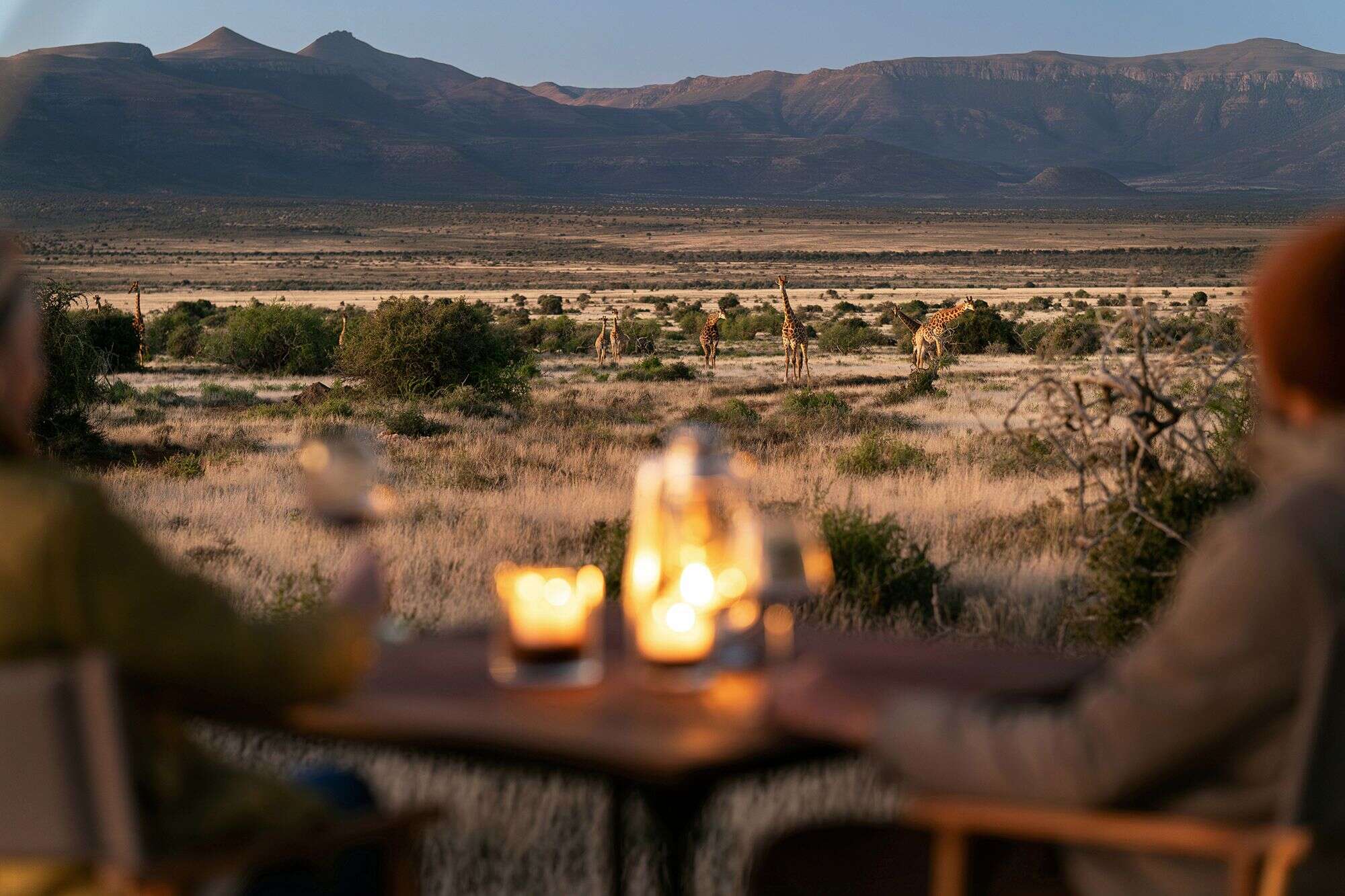 Samara-plains-camp-view-giraffe-honest-work-maike-mcneill