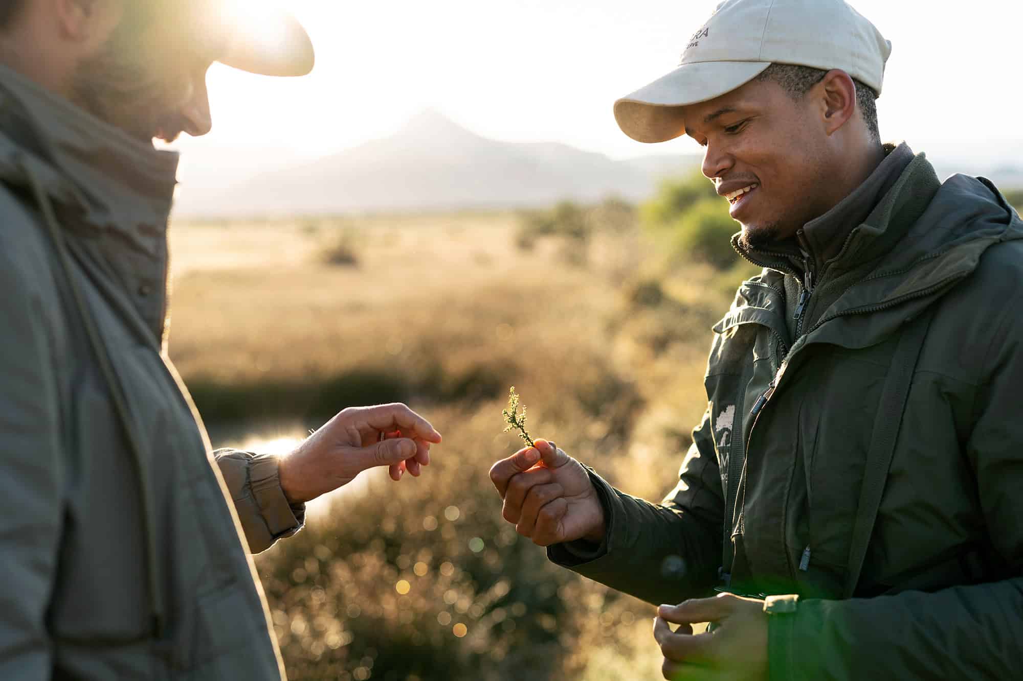 Samara-plains-camp-walking-safari-educational-flora-honest-work-maike-mcneill