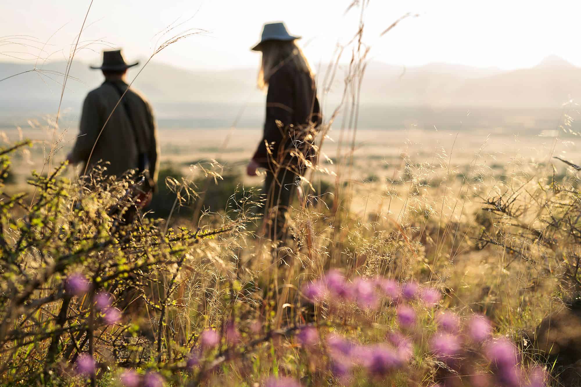 Samara-plains-camp-walking-safari-honest-work-maike-mcneill (1)