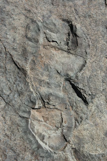 Karoo_Rock art