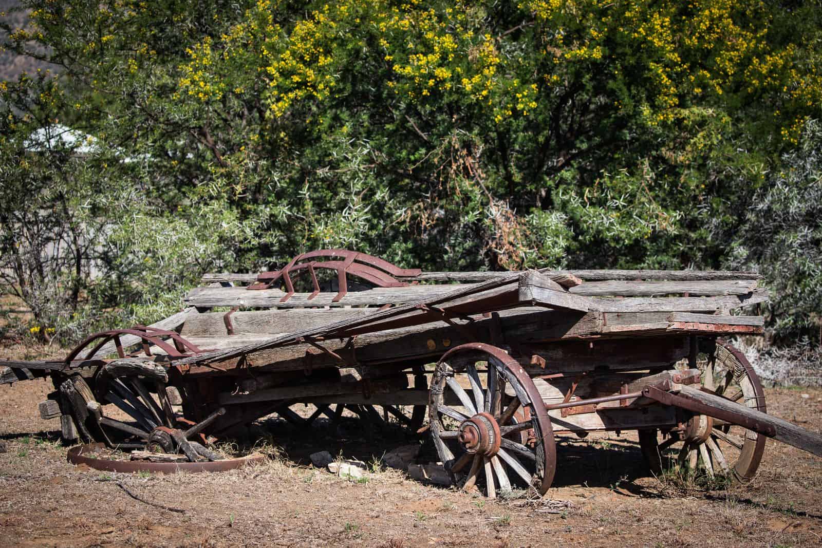 Karoo_Wagon
