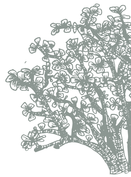 footer-tree