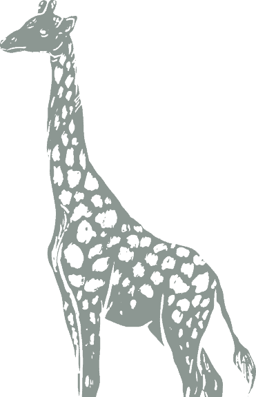 giraffa